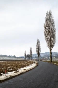A Winding Road in Winter Stock Photos