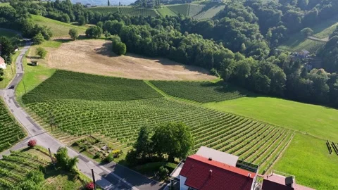 Winding roads snake through hillside vineyards in Styria Stock Footage 325330213
