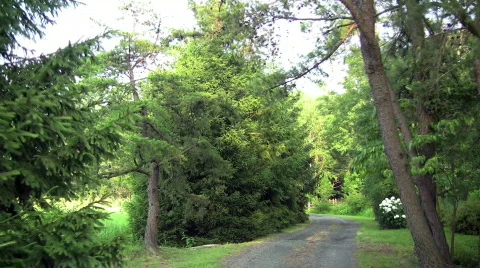 Winding rural drive Stock Footage 135478