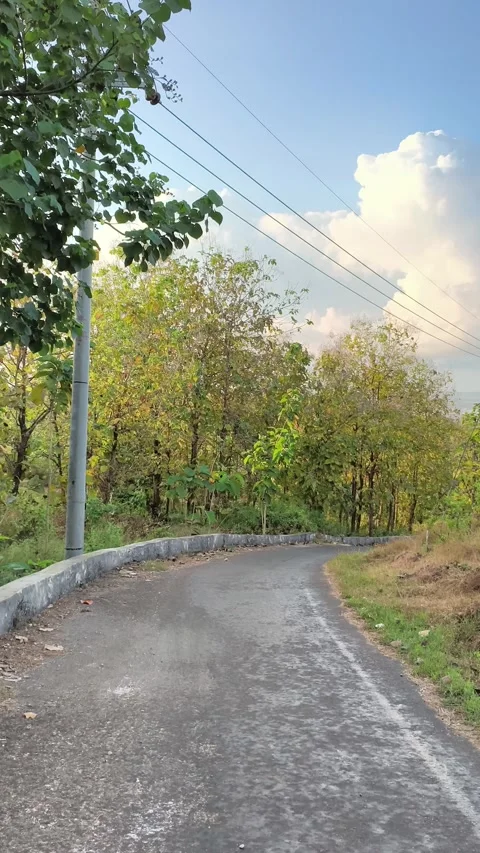 Winding Rural Forest Road under Sunny Blue Sky and Clouds Stock Footage 340465803