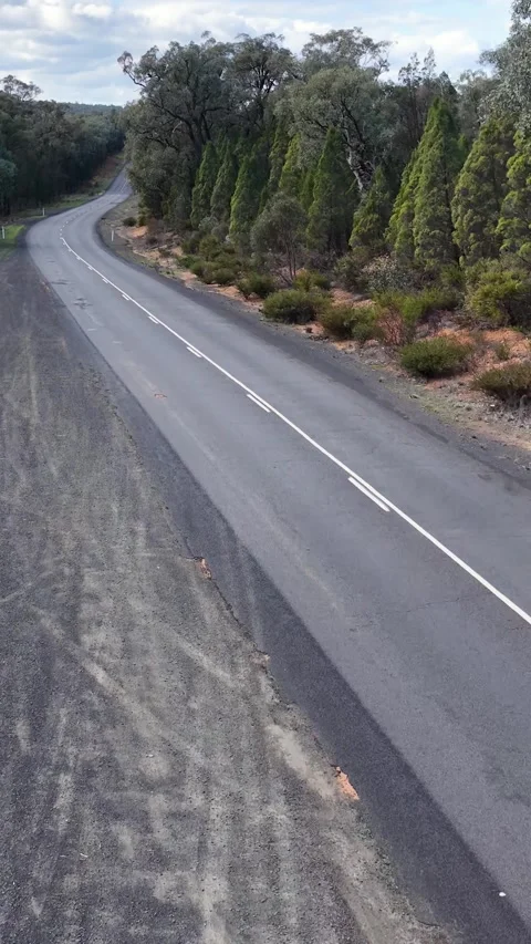 Winding Rural Highway Through Eucalyptus Forest in Outback Australia Stock Footage 340862624