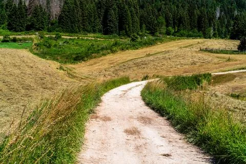Winding Rural Path Through Meadow and Forest Stock Photos