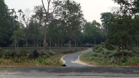 Winding rural road passing through forested countryside Stock Footage 326032356