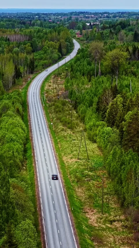 Winding Rural Road Through Dense Green Forest, Aerial Tracking 库存影片 336635600