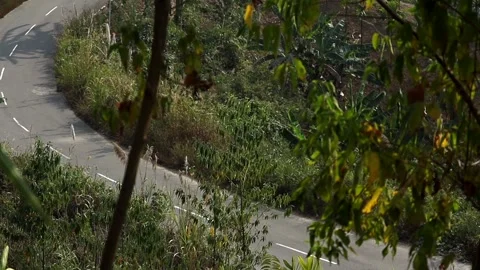 Winding rural road through lush tropical vegetation Stock-Footage 329175953