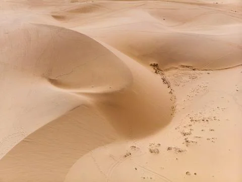 Winding sand dunes in desert background Stock Photos