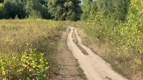 Winding Sandy Dirt Path through Countryside Fields 스톡 동영상 344020827