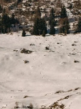 Winding ski tracks through pristine snow on mountainside Stock Photos