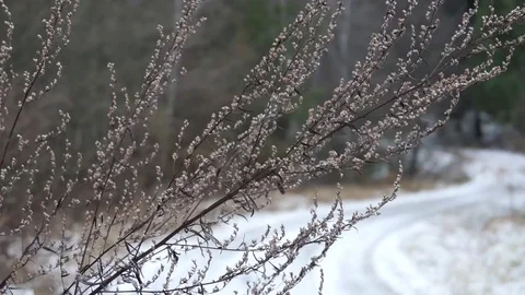 Winding snowy road Video stock 70095710