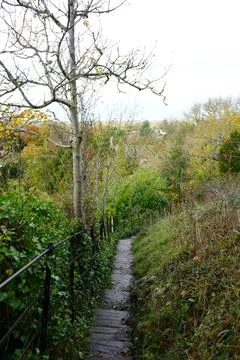 Winding Stepped Path Through Autumn Foliage With Views Over Dyserth, North Stock Photos