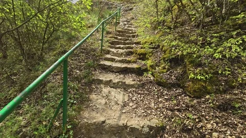 Winding steps lead upward through green forest. Mount Ozren, Serbia Видео 332728693