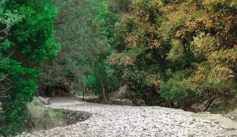 Winding stone path going through a forest in the Pustinja Blaca, desert remot Stock Photos
