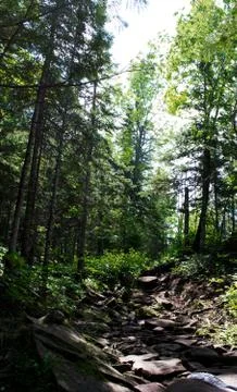Winding Stone Path Stockfoto's