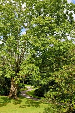 Winding Stone Path Through Manicured English Country Estate Garden Stock Photos