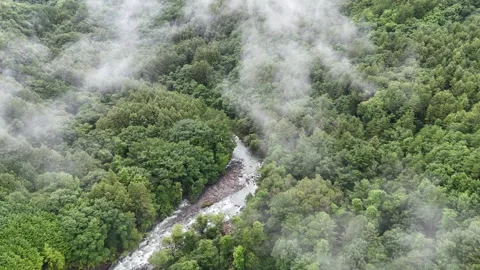 Winding Stream Between Misty Forested Hills Vídeo Stock 347507174