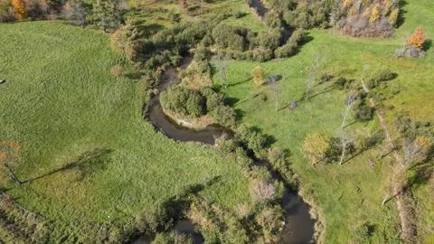 Winding stream in the field. Stock Photos
