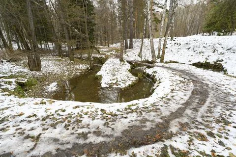 A winding stream, a small bridge and walking people in an autumn snowy forest Stock Photos