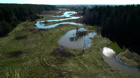 Winding swamp river surrounded by forest. Stock Footage 196511420
