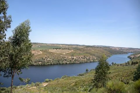 The winding Tejo River flowing through lush green hills Stock Photos
