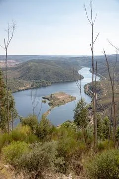 The winding Tejo River flowing through lush green hills Stock Photos