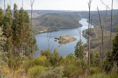 The winding Tejo River flowing through lush green hills Stock Photos