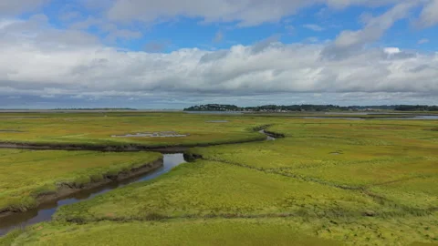 Winding tidal creek cuts through vast green salt marsh near Ipswich, scattered Stock Footage 345699740