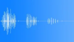 Winding up toy Sound Effect