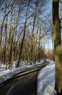 Winding trail Stock Photos