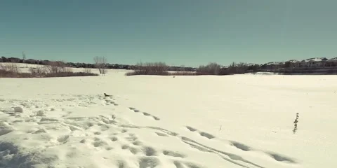 Winding Trail In the Snow Stock Footage 231944027