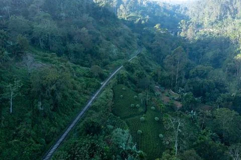 Winding train track passing through lush green jungle and tea plantations with Stock Photos