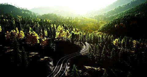 Winding train tracks in a vibrant forest at golden hour Stock Illustration