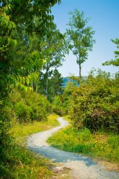 A winding walkpath running between trees and shrubs Stock Photos