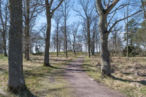Winding walkway at springtime Stock Photos