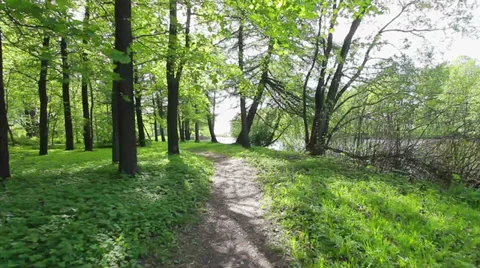 Winding way Video stock 37269120