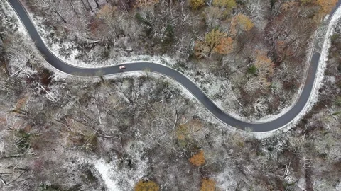 Winding Winter Road Through Snow-Covered Forest, Aerial View Stock-Footage 327978985