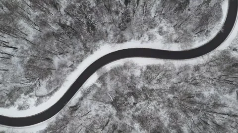 Winding Winter Road Through Snow-Covered Forest, Aerial View Video stock 327979762