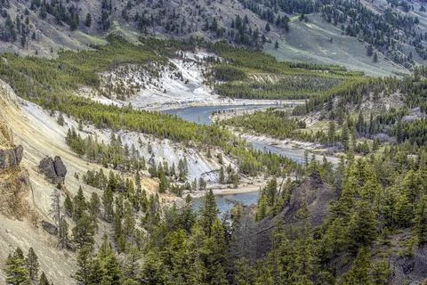 Winding Yellowstone River. Stock Photos