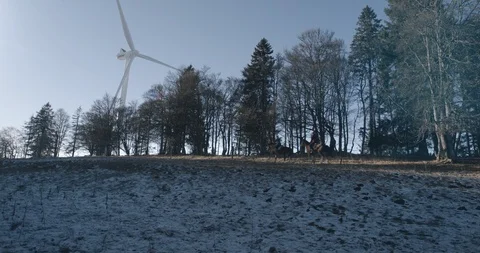 Windmill 4 스톡 동영상 87550326