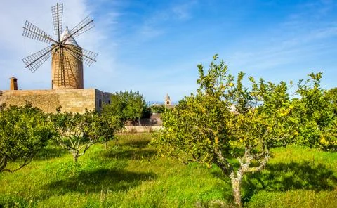 Windmill in Algadia Mallorca Spain Stock Photos