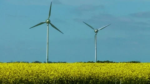 Windmill and canola field Stock Footage 65787940