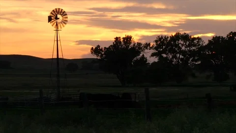 Windmill and cows at sunset Vídeo Stock 102148830