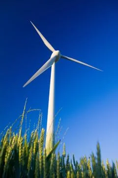 Windmill and crop Stock Photos