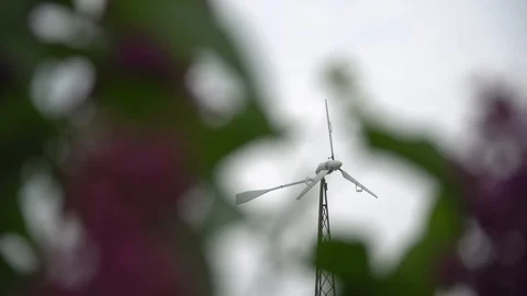 Windmill and lilacs Stock Footage 91226208