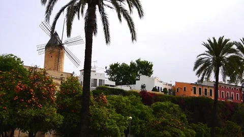 Windmill and Palma tree, Palma de Mallorca Stock Footage 194449393