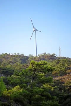 The windmill and pine tree in Turkey. Stock Photos