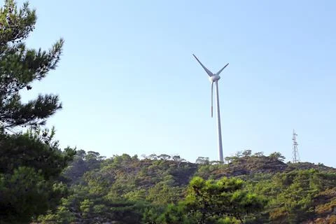 The windmill and pine tree in Turkey. Stock Photos