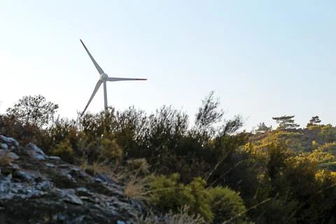 The windmill and pine tree in Turkey. Stock Photos