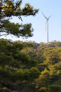 The windmill and pine tree in Turkey. Foto stock