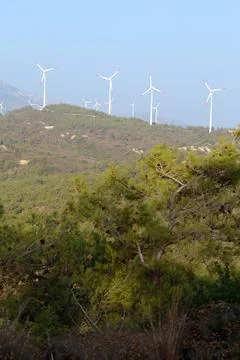 The windmill and pine tree in Turkey. Foto stock