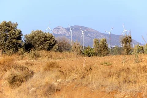 The windmill and pine tree in Turkey. Stock Photos